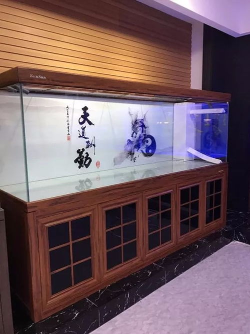 上海養魚圖鑒 從水族箱到錦鯉魚的一站式攻略