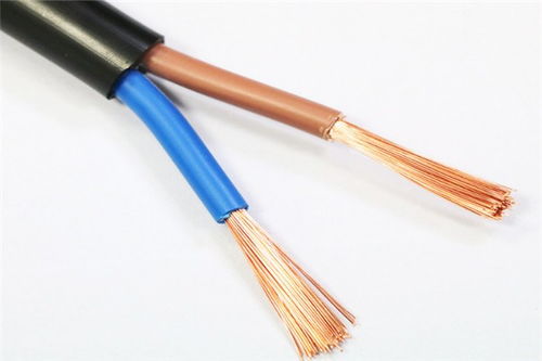 江山kvvp2 22控制電纜品牌 特性、應(yīng)用與市場地位解析
