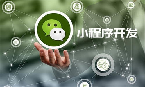 河南微諾科技程序開發報價專業嗎